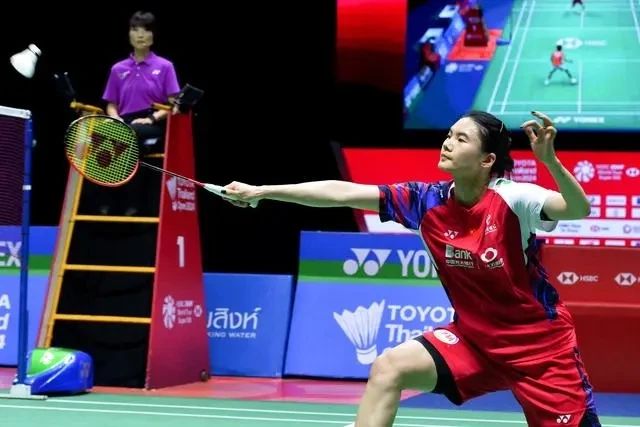 引起了国内 引起了国内